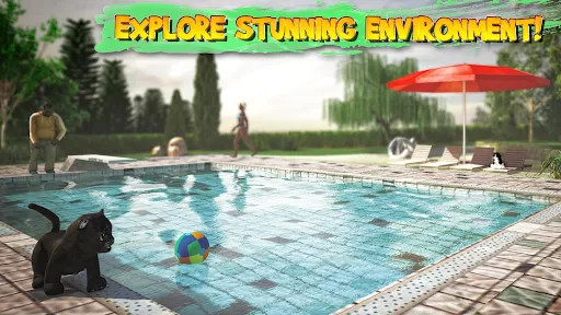 Actual gameplay and installation guide for Cat Simulator MOD (Unlimited Money) unlocked version - Screenshot 1
