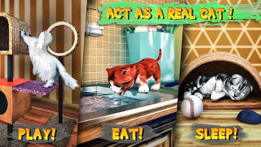 Actual gameplay and installation guide for Cat Simulator MOD (Unlimited Money) unlocked version - Screenshot 2