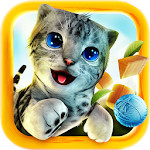Actual gameplay and installation guide for Cat Simulator MOD (Unlimited Money) unlocked version