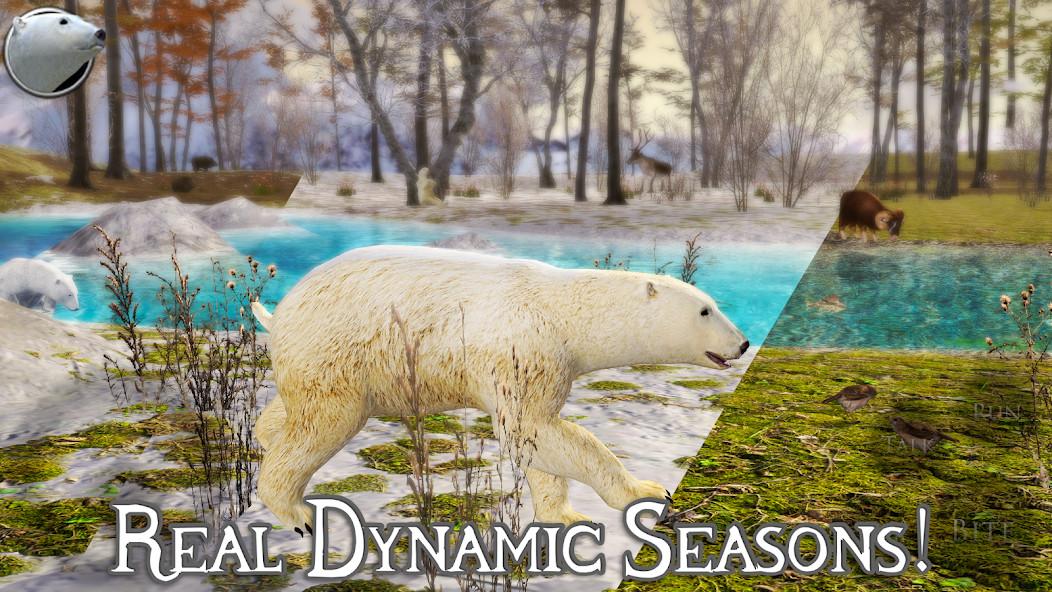 Hình ảnh trải nghiệm thực tế và giao diện cài đặt Polar Bear Simulator 2 MOD APK (Unlimited Skill Points) bản mở khóa - Screenshot 2