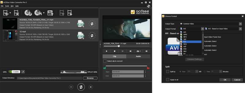Actual gameplay and installation guide for ACDSee Video Converter Pro 5 unlocked version - Screenshot 3
